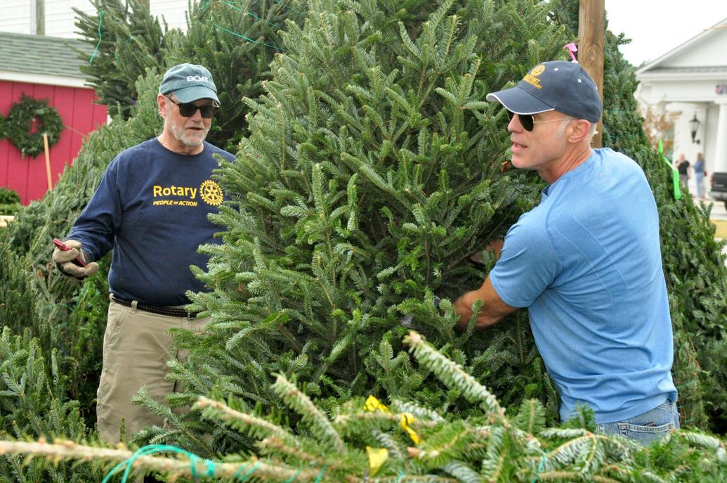 Christmas tree lots up and running, shoppers encouraged to buy early