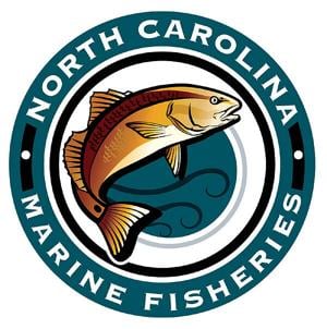 Water quality swimming advisory issued for sound-side site in Beaufort County