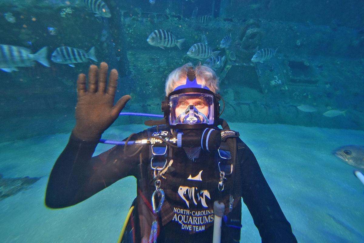 Swim Behind The Scenes Of The Nc Aquarium At Pine Knoll Shores Kids And Family Carolinacoastonline Com