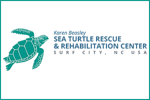 Karen Beasley Sea Turtle Rescue and Rehabilitation Center
