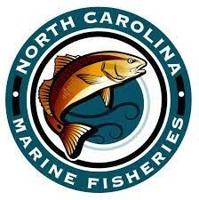 Fisheries division taking public comments on proposal to preserve and enhance striped mullet stock