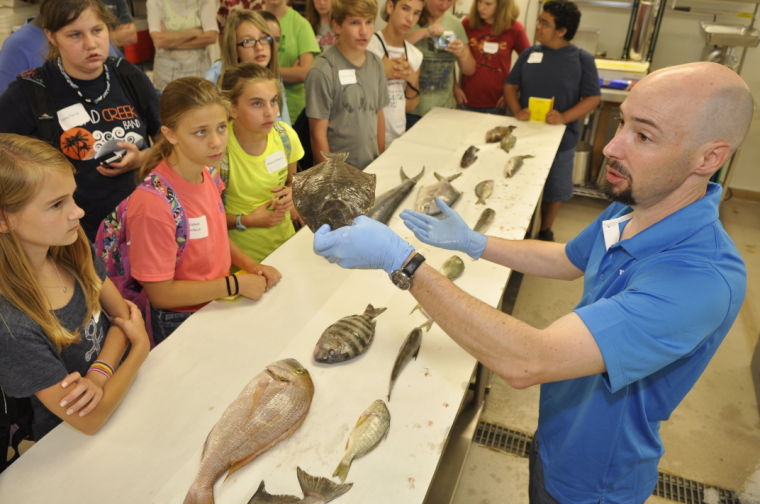 Unveiling the Wonders of the St. Johns County Marine Science Camp