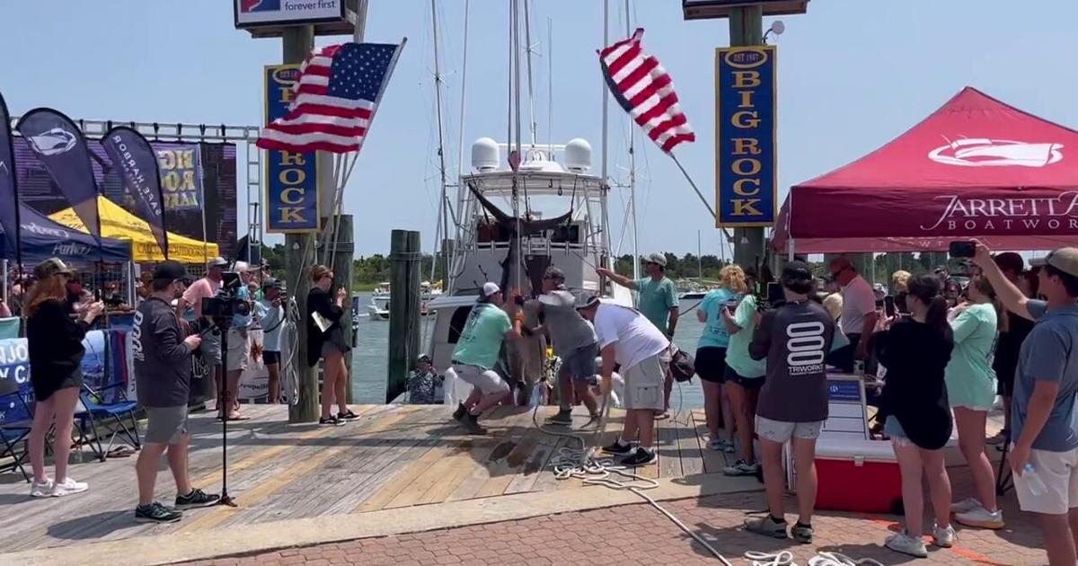 BIG ROCK LEADERBOARD Sushi declared winner of 65th annual Big Rock