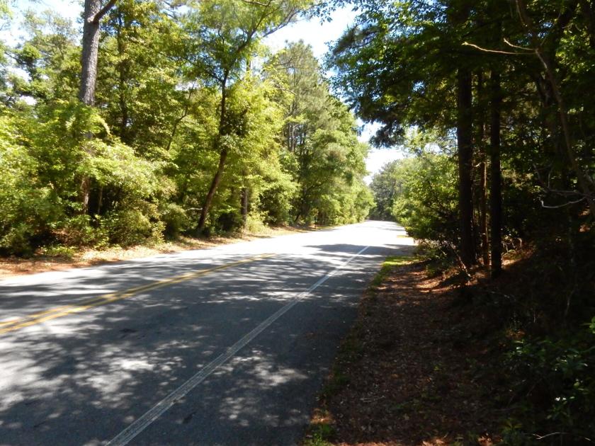 Pine Knoll Shores Commissioners Look To Conservation Easements To Protect Maritime Forest News Carolinacoastonline Com Pine Knoll Shores Commissioners Look To Conservation Easements To Protect Maritime Forest News Carolinacoastonline Com