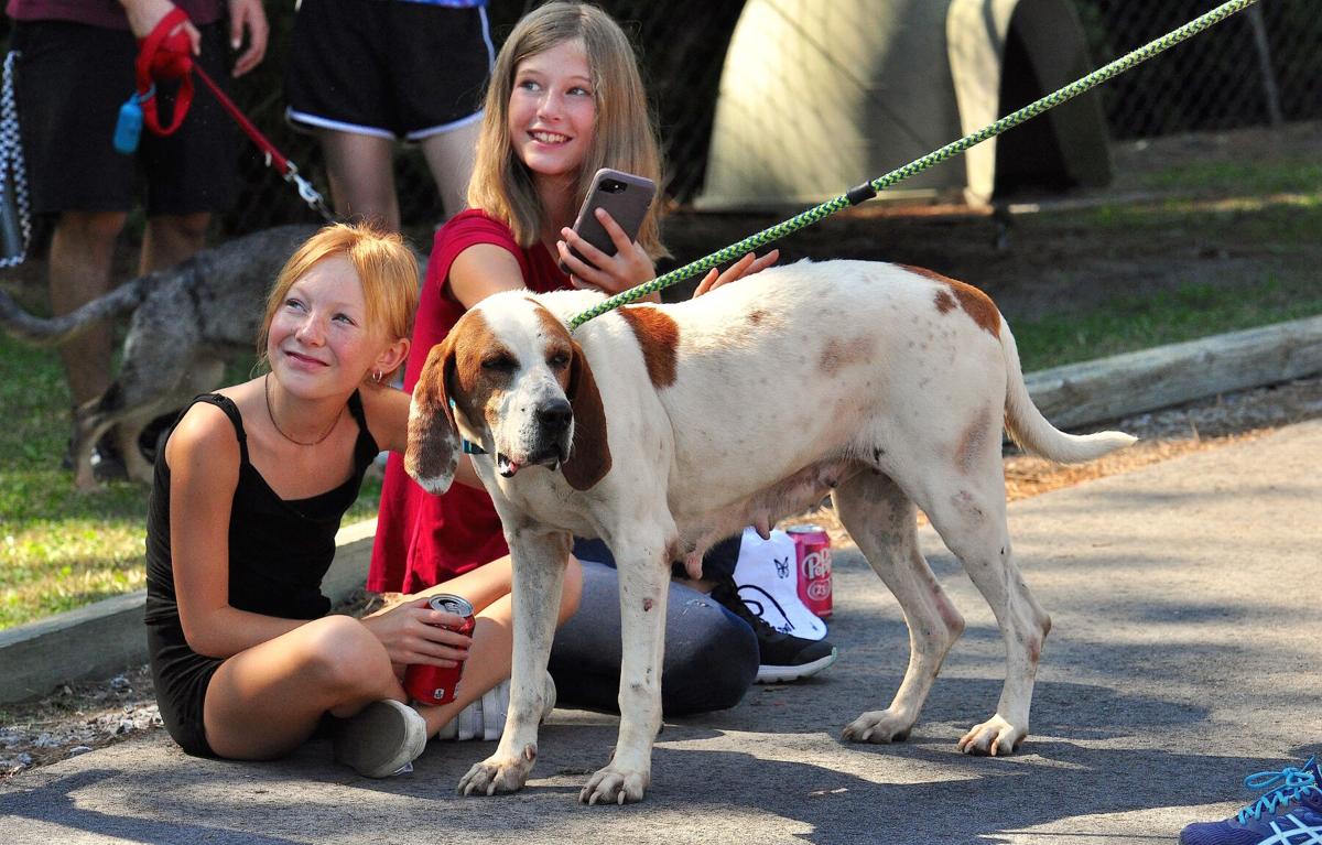 GALLERY: After weathering Florence, pandemic, Carteret County Humane Society celebrates with open house