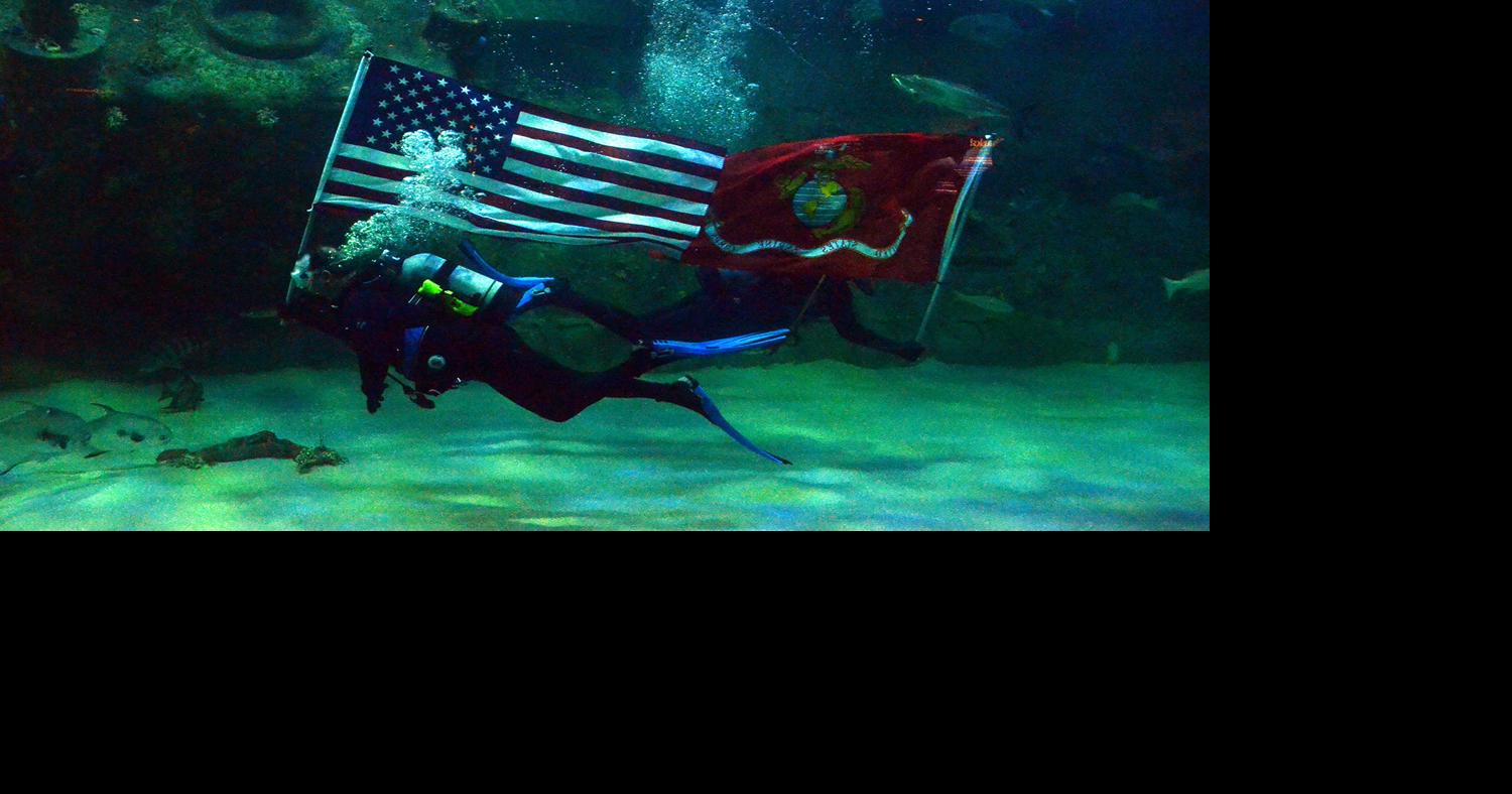 NC Aquariums offer free admission to US military members, dependents