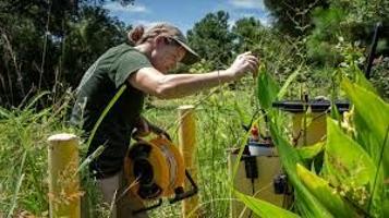 Coastal harm from invading saltwater 'happening right now' - Carolinacoastonline