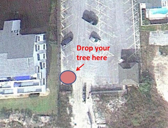 Fort Macon, Pine Knoll Shores accept natural Christmas tree dropoffs