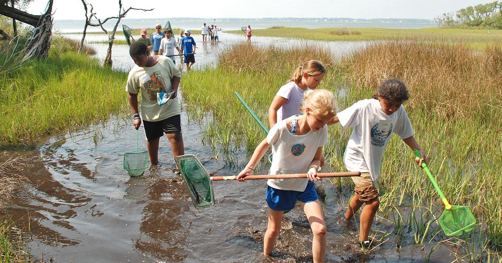 Summer Camp scholarships available at N.C. Aquarium in Pine Knoll Shores - Vimarsana News