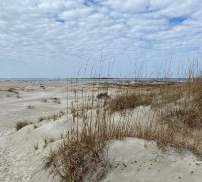 Bogue Inlet channel remains stable, relocation not necessary for a decade or more, shore office reports