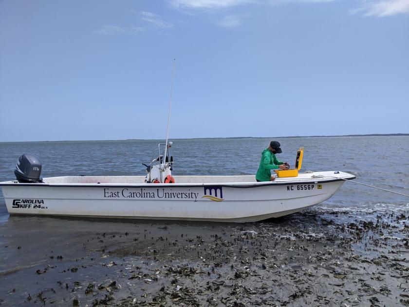 Area marine labs weather Isaias, continue research | News - Carolinacoastonline
