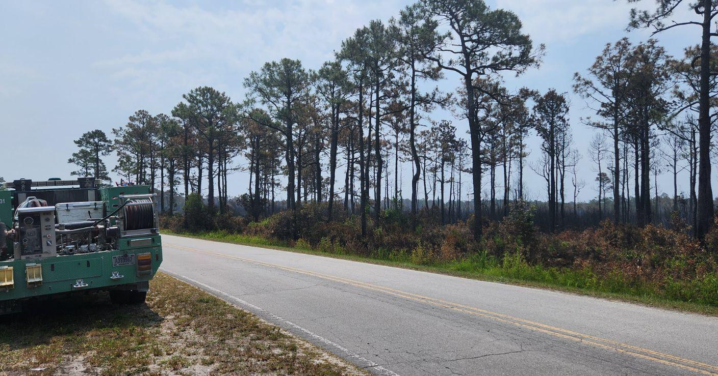 Fire that burned 270 acres in Croatan intentionally set - Vimarsana News