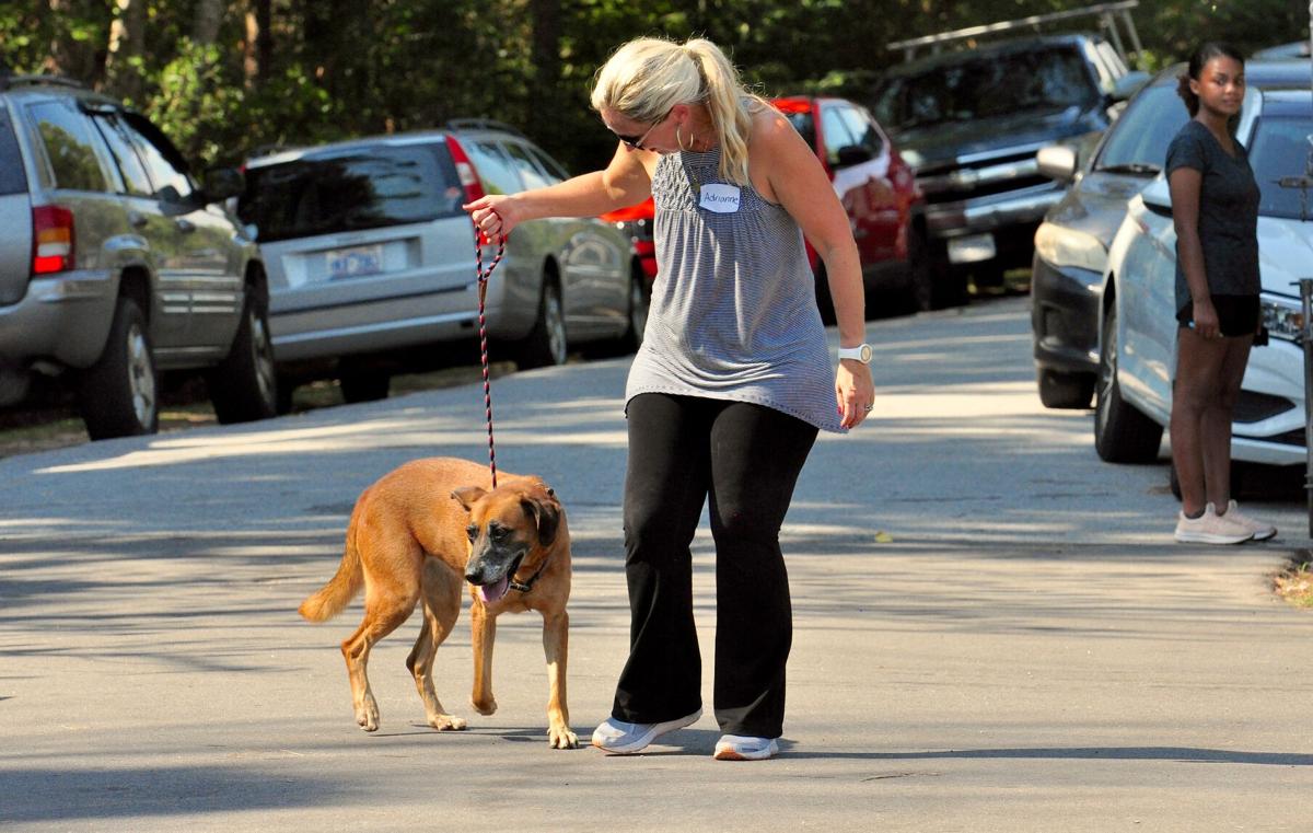 GALLERY: After weathering Florence, pandemic, Carteret County Humane Society celebrates with open house