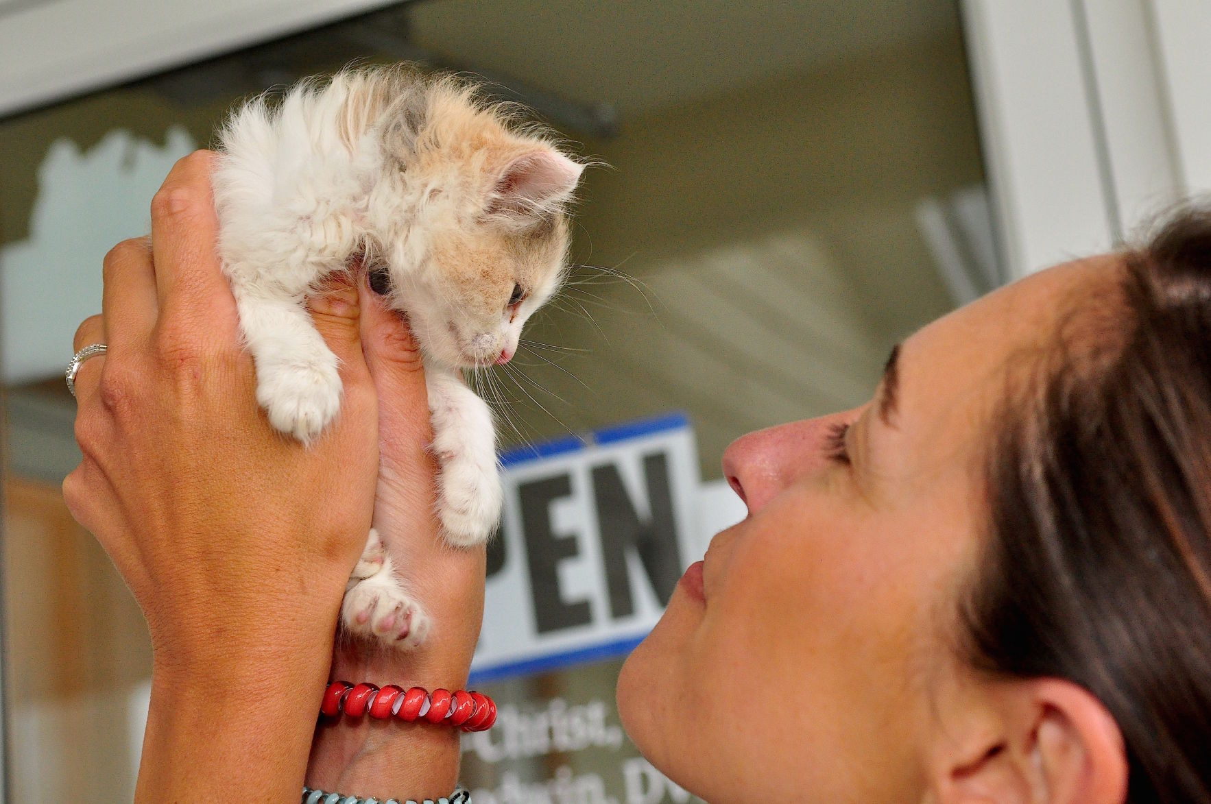 vets for pets newport road