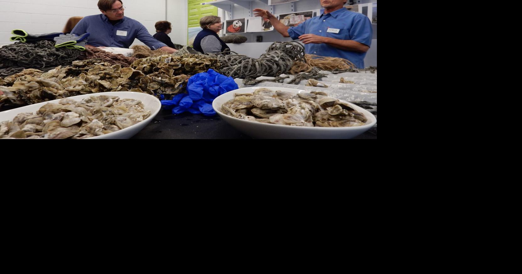 Conservation organization offers funding for shellfish aquaculture ...