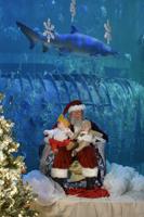 December events at the aquarium