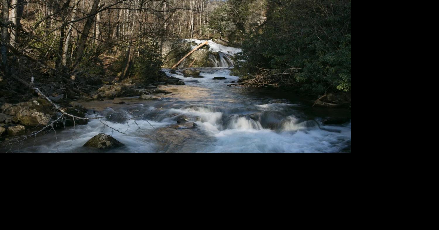 Feds letting timber harvest targets interfere with protecting national