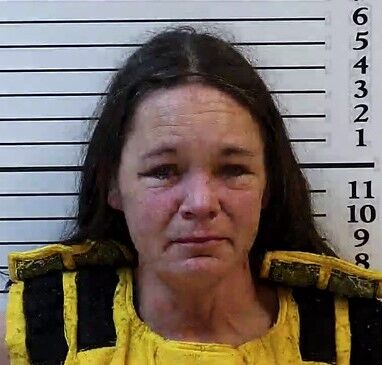 North Carolina woman charged with murder in death of twin sons after ...