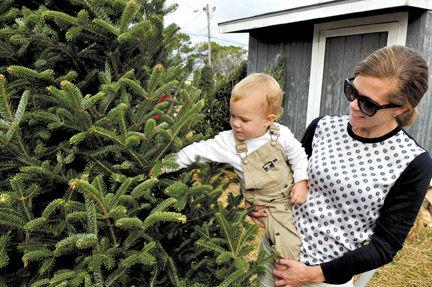 Nonprofits Vendors Market Good Crop Of Christmas Trees News Carolinacoastonline Com