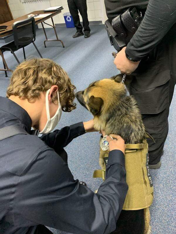 K-9 officer Draco joins Cape Carteret PD - Vimarsana News