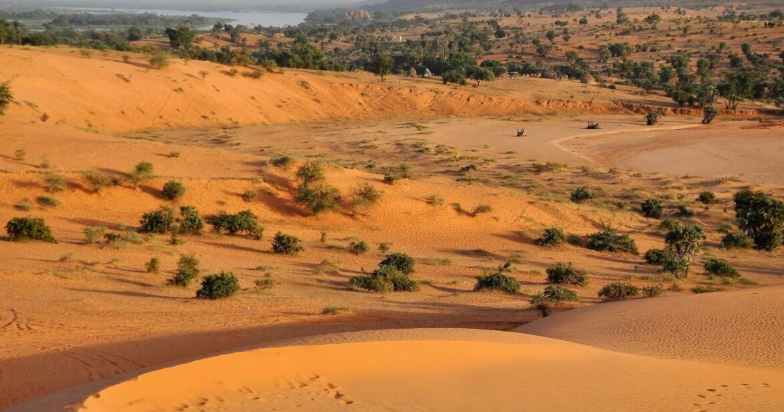 NC missionary pilot freed after 9 months in captivity in Niger | Regional