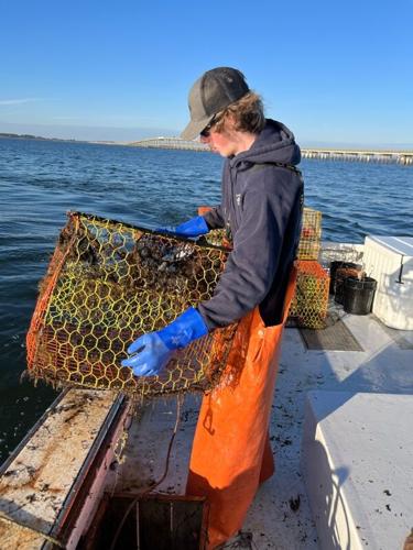 N.C. Coastal Federation gears up for lost fishing gear recovery program,  seeks fishers to participate, News
