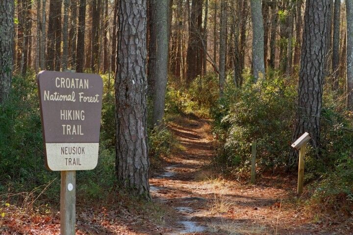 720px x 480px - Carteret County Wildlife Club to celebrate Neusiok Trail | News |  carolinacoastonline.com