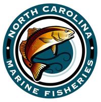Fisheries commission meeting set for Thursday, Friday in Beaufort