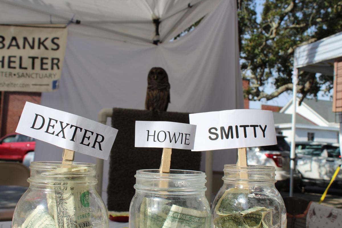 GALLERY: Olde Beaufort Farmers' Market opens for 2021 season