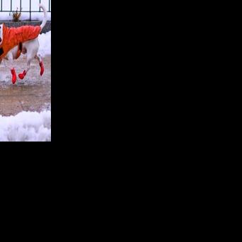 A bomb cyclone brings blizzards to the Midwest before turning east ...