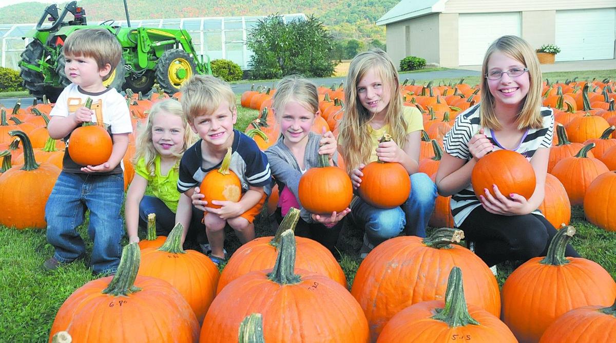 A family of pumpkin lovers.jpg