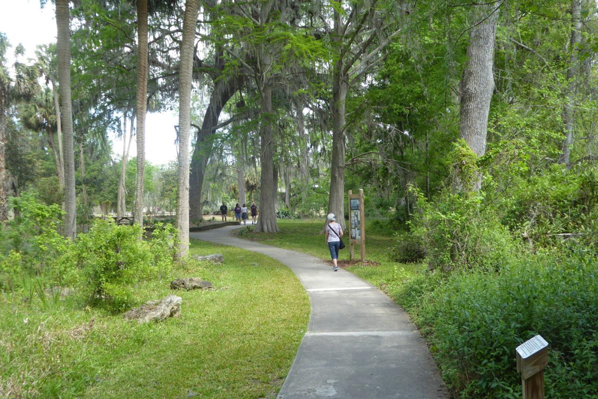 Silver Springs