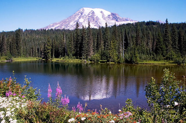 Washington.jpg