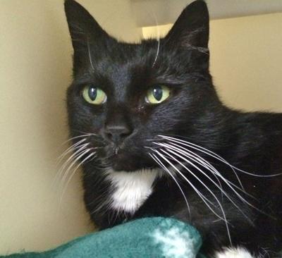 This Beautiful Girl is Ellory