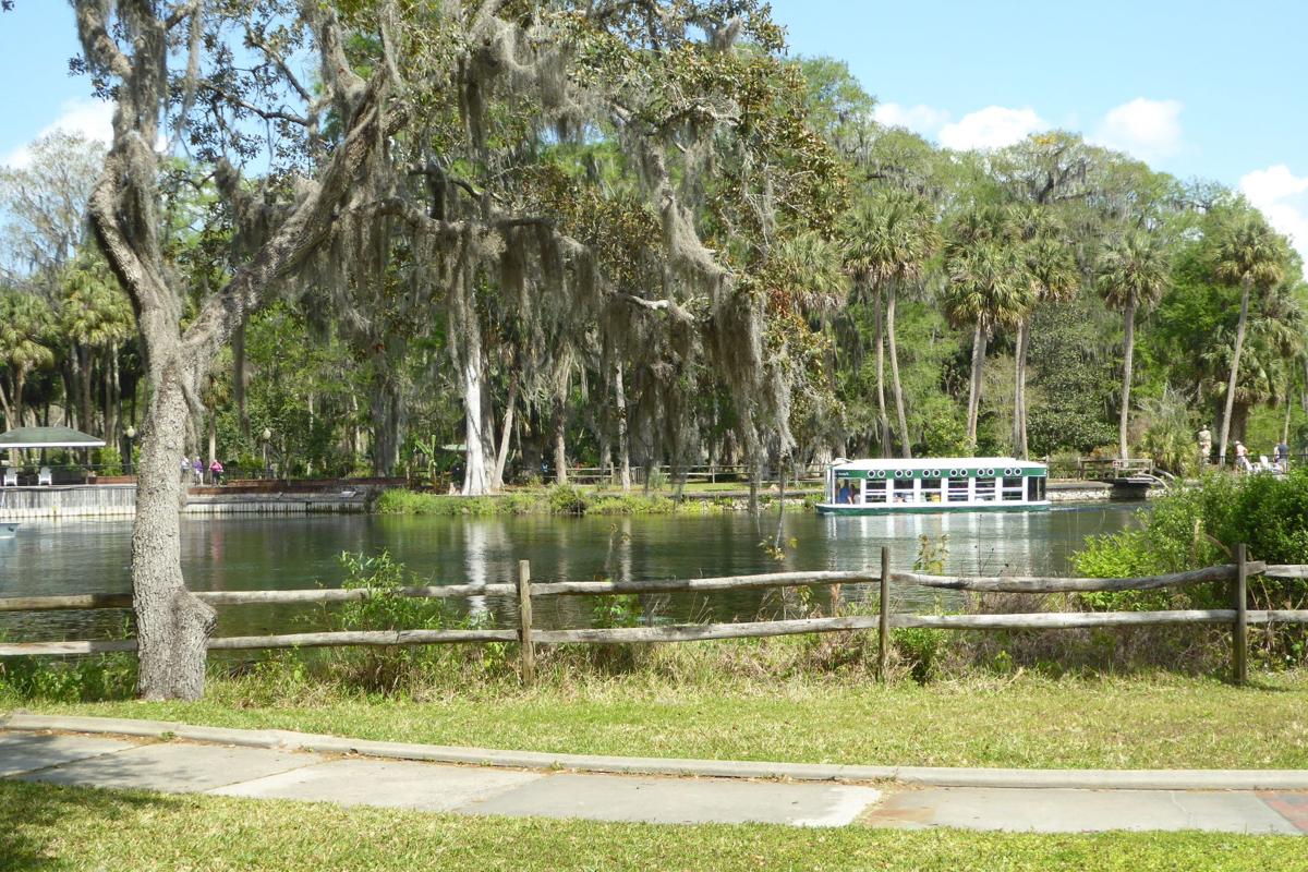 Silver Springs