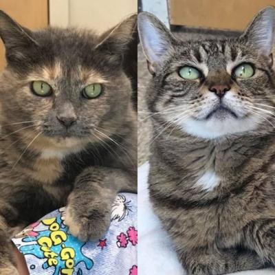 Meet Ellie and Kymera at MRFRS
