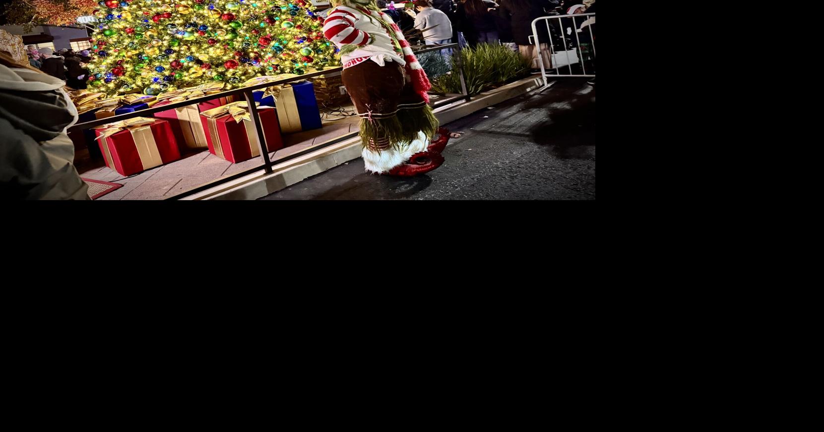 Music, Dancing, and the Grinch Spotlight Christmas Tree Lighting