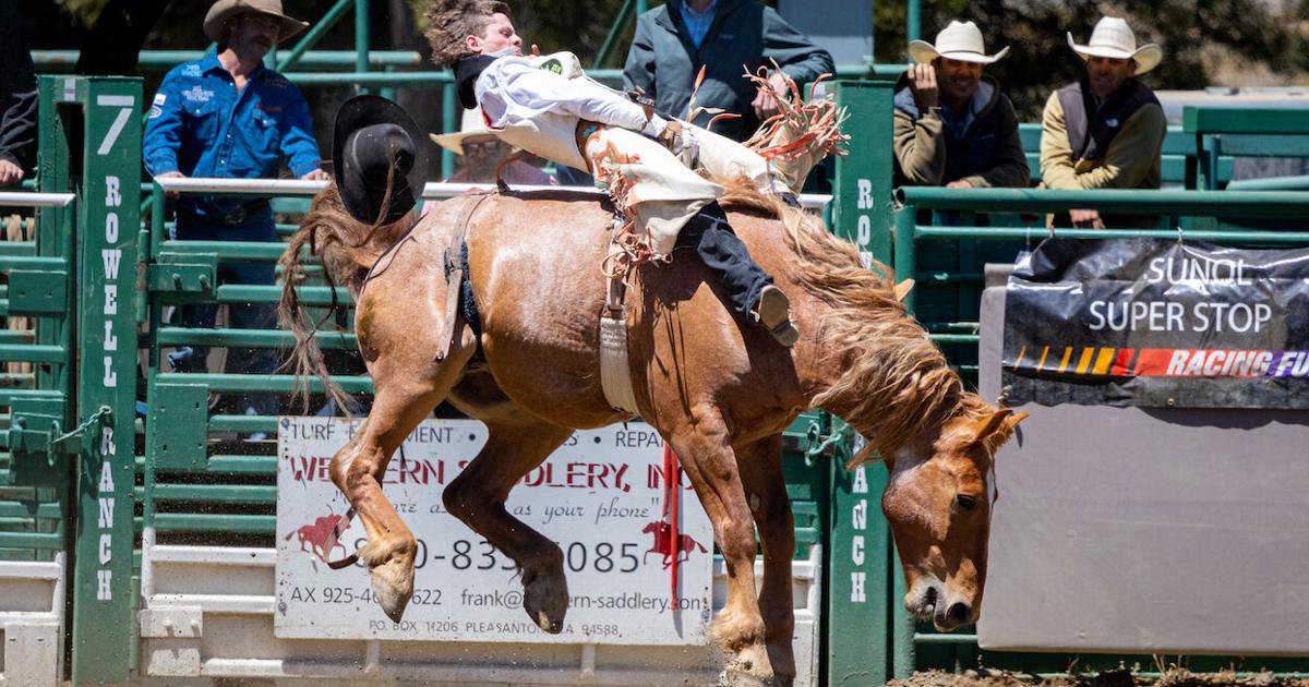 Rowell Ranch Rodeo 2025 Howdy Partner! Rowell Rodeo Fun Returns | News | castrovalleyforum.com