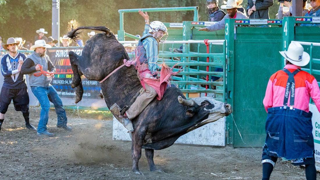 castrovalleyforum.com