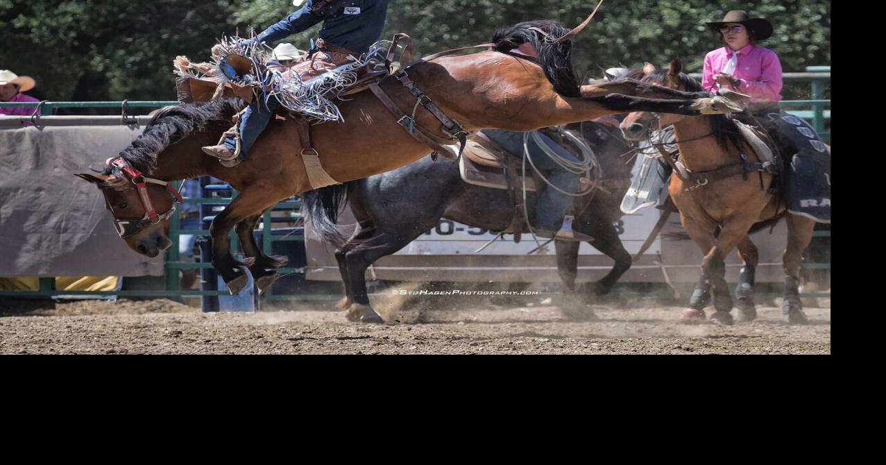 Rowell Rodeo: Back in the Saddle Again | News | castrovalleyforum.com