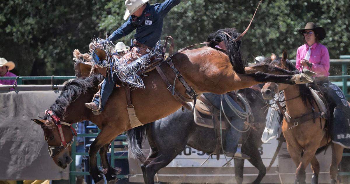 Kevin Howell Rodeo Rowell Rodeo: Back in the Saddle Again | News | castrovalleyforum.com
