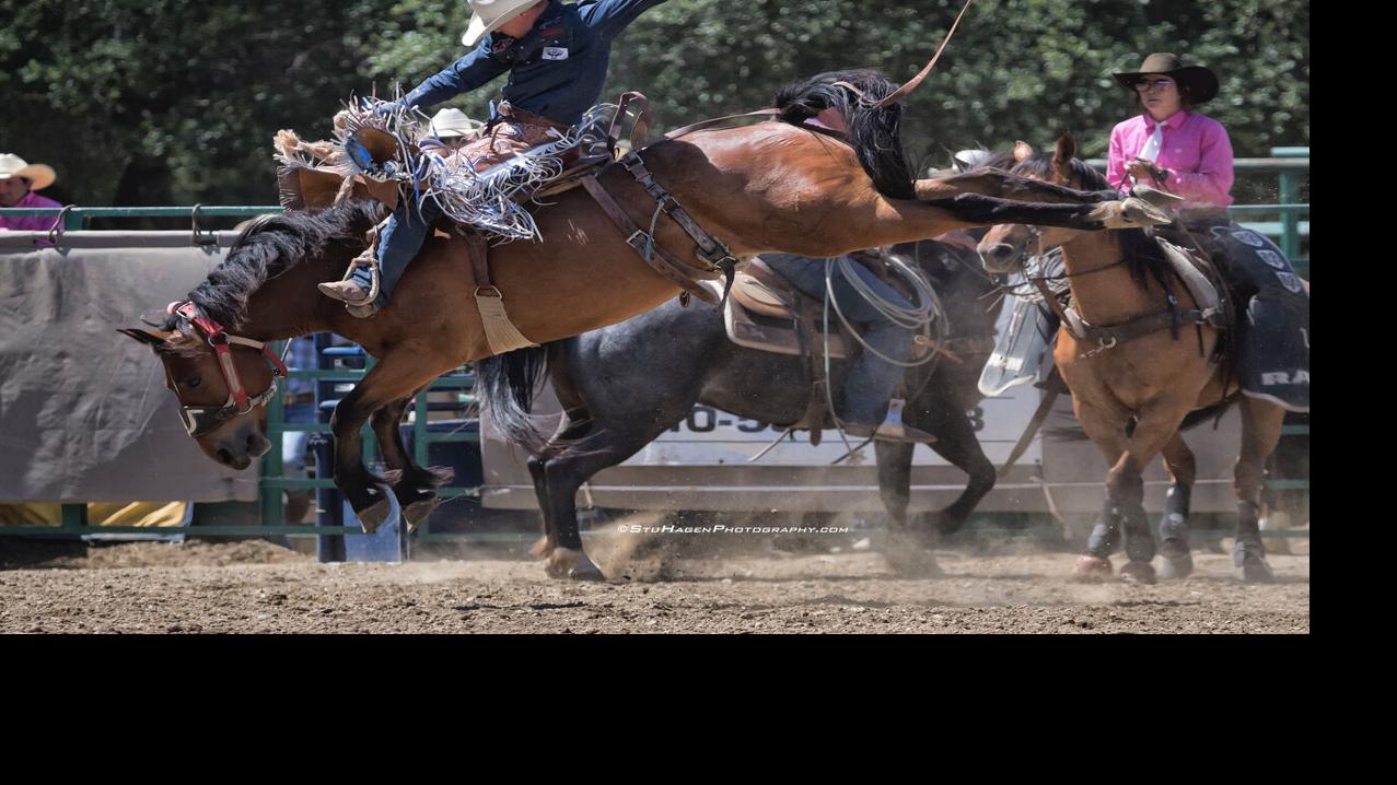 castrovalleyforum.com