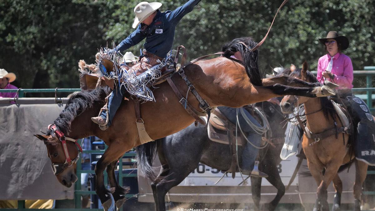 castrovalleyforum.com