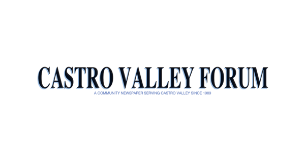 Castro Valley Sports Hall of Fame: Baseball, Softball, or Whiffle, Viveiros Just Loved to Hit