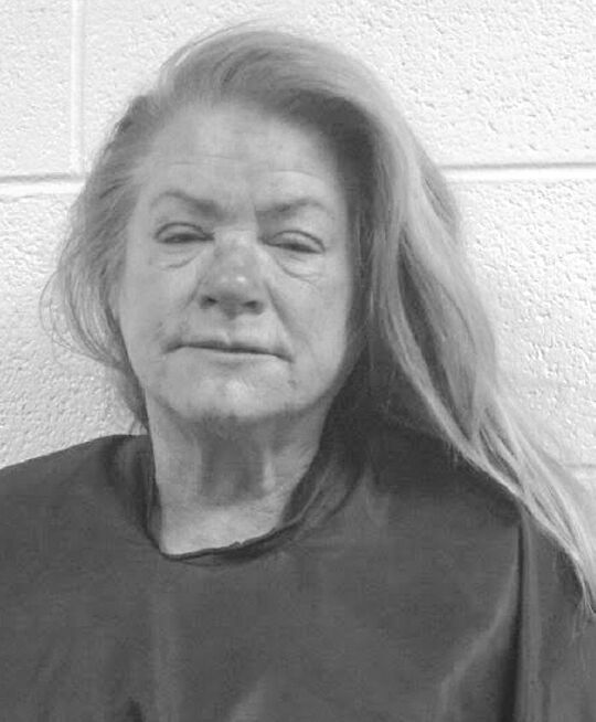 Stokesdale woman arrested after shooting boyfriend in the head with a ...