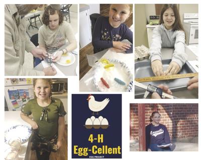 4-H kids know a lot about eggs!