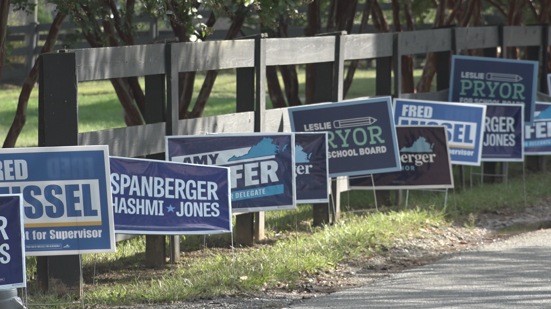 Albemarle Democrats hold picnic before election season