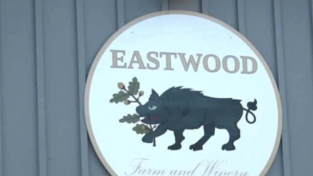 Winery hosts Black Women Who Wine for Juneteenth