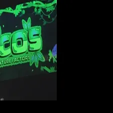 Coco's Adventure Factory Opens Sept. 12 in Charlottesville