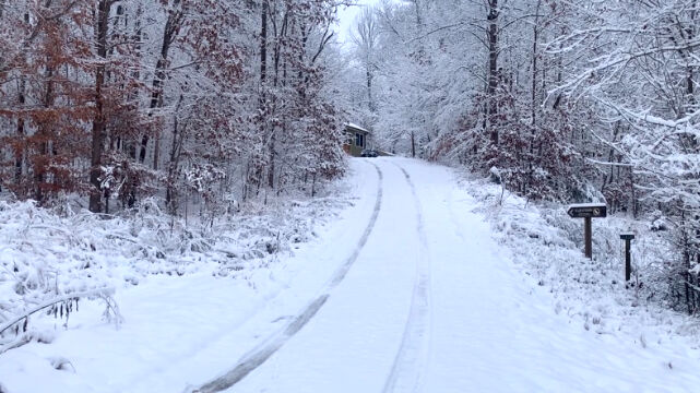 Rockfish Wildlife Sanctuary fundraising to repair driveway